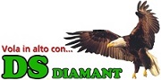 D.S. Diamant Snc