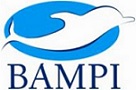 Bampi Spa