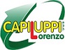 CAPILUPPI LORENZO Snc di Capiluppi Claudio & C.