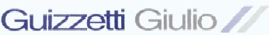 GUIZZETTI GIULIO Srl